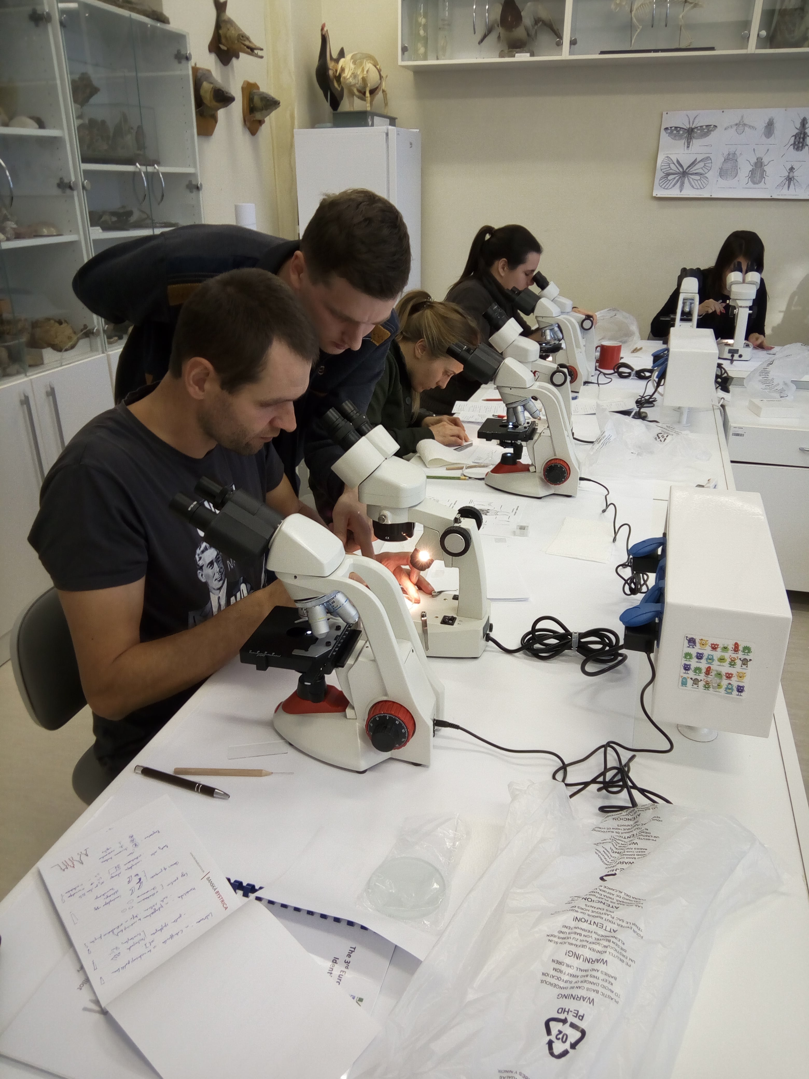 The 3rd European Workshop on Chironomidae Identification Methodology